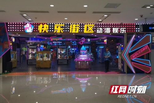 网上电子游戏厅,揭秘电子游戏厅的魅力与挑战