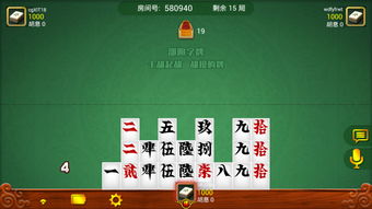 湖南跑胡子游戏手机版,指尖上的传统棋牌竞技盛宴