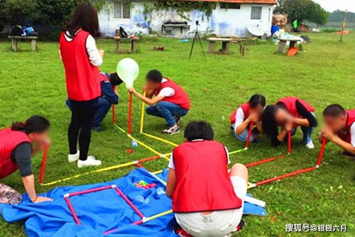 拓展团建游戏,拓展团建游戏精彩回顾”
