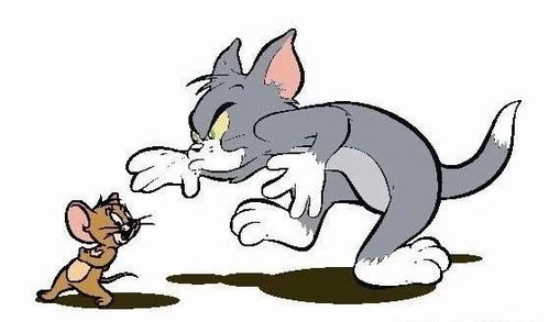 体育游戏猫捉老鼠反思,体育游戏中的策略与反思