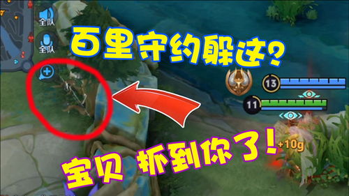 游戏规则最后结局,游戏规则下的最终命运揭晓