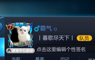 王者荣耀游戏网名符号,网名符号中的英雄传奇