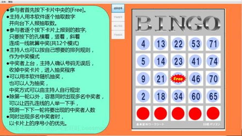 韩国bingo游戏怎么玩,乐趣无穷