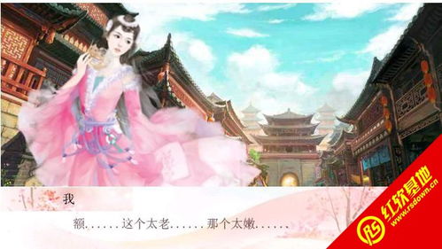收集美男的游戏,探索收集美男游戏的奇幻之旅