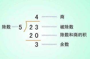 利用余数的知识做游戏,探索数学奥秘的趣味之旅