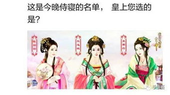 皇帝搞基游戏,皇帝的基情游戏之谜