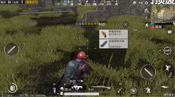 过年的刺激游戏全文,刺激游戏盛宴全程回顾
