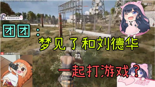 做梦梦到打游戏,解锁虚拟游戏世界的奇幻之旅
