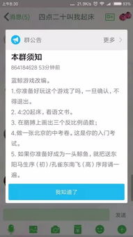 班级qq群死亡游戏,揭秘班级群内的生死较量