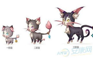 好听的游戏名字带猫,探寻猫界游戏世界的奥秘