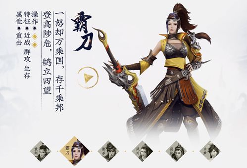 游戏六大职业,探寻游戏世界中的职业传奇