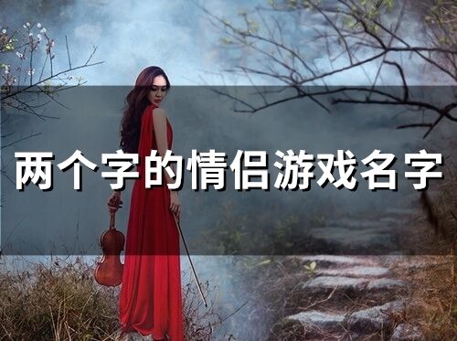 夫妻游戏名字文艺,夫妻游戏世界中的浪漫之旅