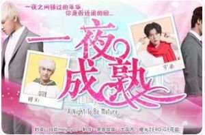 一夜成熟游戏,解锁成长密码
