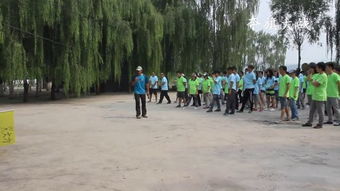东西冲拓展公司游戏,游戏中的极限挑战与奇幻冒险