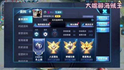 王者荣耀游戏id大全,揭秘游戏中的个性与魅力