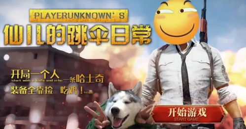 仙某某搞笑游戏视频,欢乐无限