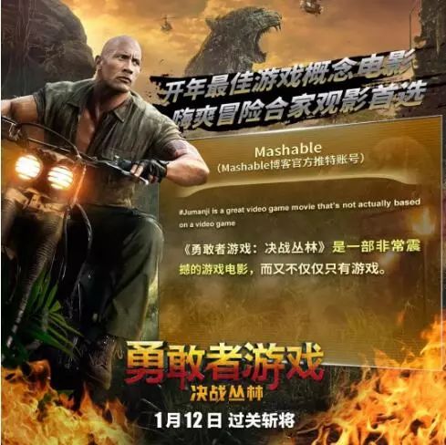 勇敢者的游戏1国语免费,挑战极限冒险！