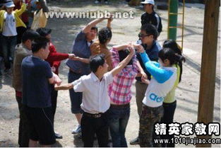 团队游戏无道具室外,协作与创新的极限体验