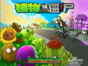 打开植物大战僵尸游戏,保卫家园的奇妙冒险