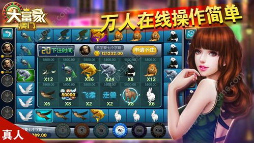 澳门大富豪游戏下载,尽享奢华娱乐盛宴