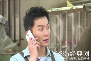 明星借钱的节目游戏,揭秘娱乐圈背后的金钱游戏