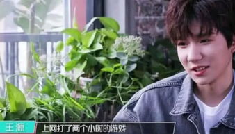 王源爱玩什么游戏,揭秘偶像的娱乐时光
