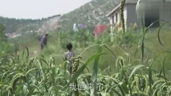 高山流浪者奔跑 