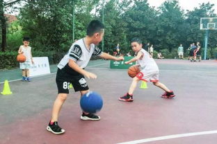 与篮球相关的游戏,指尖上的篮球盛宴