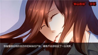 妹妹消失的一百天游戏,揭开妹妹神秘消失的真相