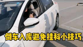 科目二倒车入库小游戏,趣味科目二小游戏体验