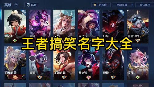王者游戏搞笑名字大全,搞笑游戏名字大盘点
