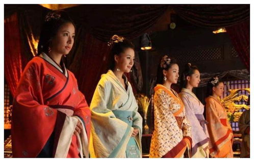 宫女变皇后的游戏,从宫女到皇后的传奇之路